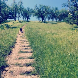 Beginning of the trail