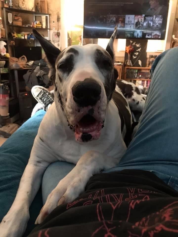 SPARKLING CLEAN PUREDRY Updated July 2024 155 Snell St, Sonora