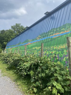 Arbor Hill Grapery & Winery by null