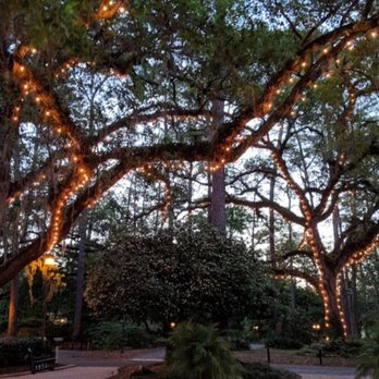 Dorothy B Oven Park - Parks Near Me - Tallahassee, Florida