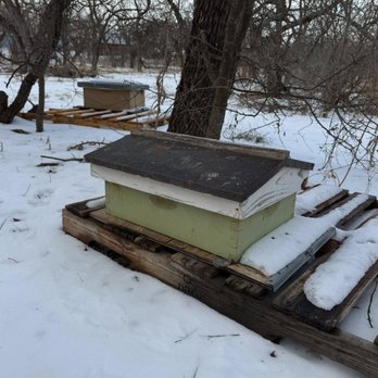 ABeeLene Beekeepers - Wildlife Control Near Me - Abilene, Texas