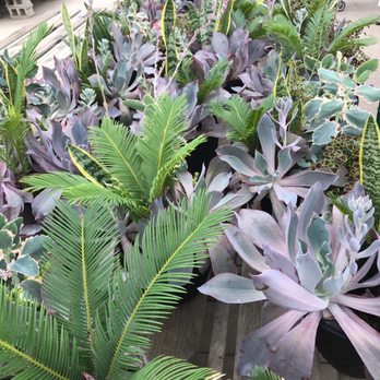 Block's Stand & Greenhouse - Farmers Market Near Me - Romulus, Michigan