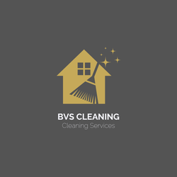 Bvs Cleaning