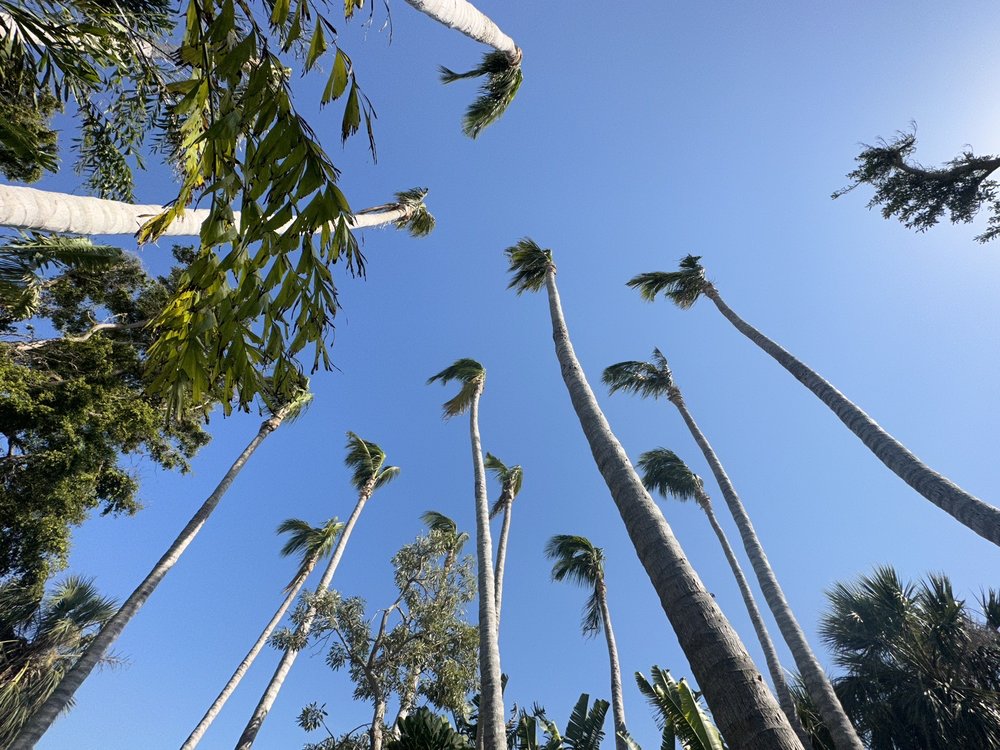 Gasparilla Island State Park Image
