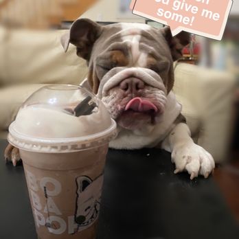 BoBaPoP - Chocolate Oreo Slush with added milk foam - Coffee & Tea Near Me - San Gabriel, California