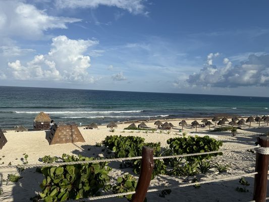 Dolphins Beach by null