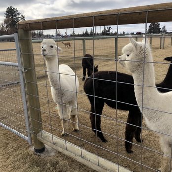 Crescent Moon Ranch - Ranches Near Me - Terrebonne, Oregon