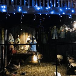 The Holiday House Scranton - Live nativity
