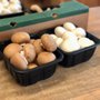 Photo of Sherrockee Mushroom Farms
