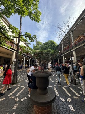 Mercado dos Lavradores (farmers' market) by null