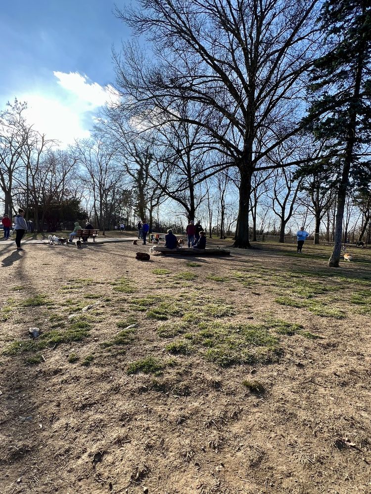 GODOWN DOG PARK Updated September 2024 108 Photos & 79 Reviews