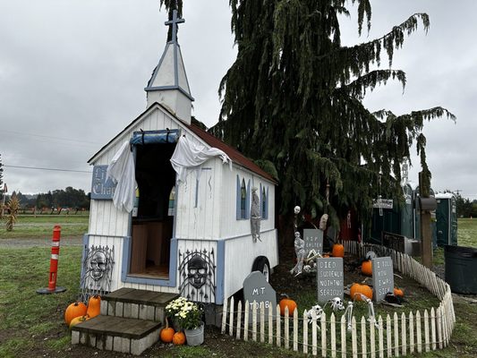 BIRINGER’S BLACK CROW PUMPKINS AND CORN MAZE - Updated August 2024 - 20
