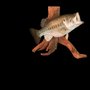 Pearson's Taxidermy