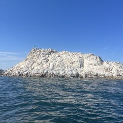 Del Mar Charters - Bird Island