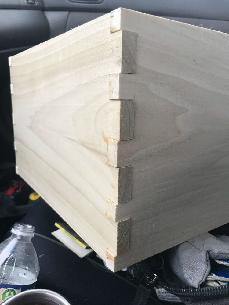 Slide of Beaver Wood Master
