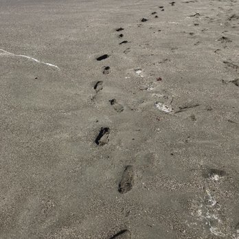Portuguese Beach - Footsteps in the sand - Beaches Near Me - Bodega Bay, California