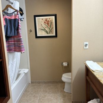 Hampton Inn & Suites Folsom - Bathroom, loads of towels, soaps, tub/shower - Hotels Near Me - Folsom, California Hampton Inn & Suites Folsom - Bathroom, loads of towels, soaps, tub/shower - Hotels Near Me - Folsom, California