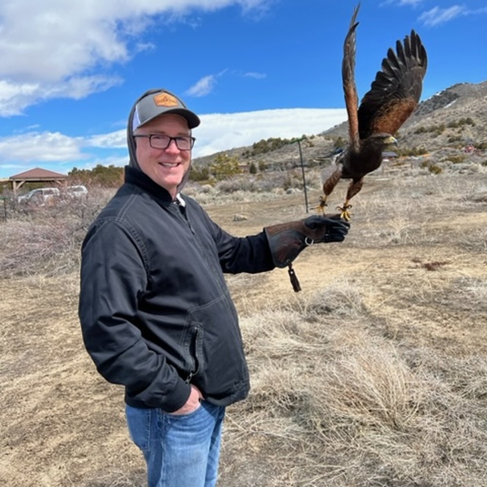 Raptor Adventures - Harris Hawk! - Zoos Near Me - Reno, Nevada Raptor Adventures - Harris Hawk! - Zoos Near Me - Reno, Nevada