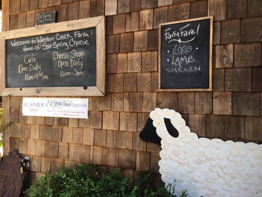 Salt Spring Island Cheese by null