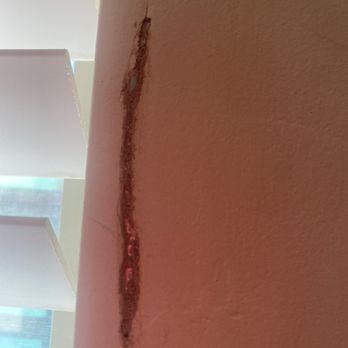 Avilla Marana I and II - TERMITES IN MASTER BEDROOM - Apartments Near Me - Tucson, Arizona Avilla Marana I and II - TERMITES IN MASTER BEDROOM - Apartments Near Me - Tucson, Arizona