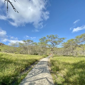 Diamond Head State Monument - More shade around the beginning of Diamond Head hike - Parks Near Me - Honolulu, Hawaii Diamond Head State Monument - More shade around the beginning of Diamond Head hike - Parks Near Me - Honolulu, Hawaii