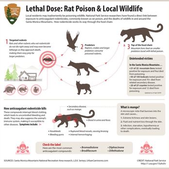 Bc Exterminating Services - From the National Park Service NPS.gov - Pest Control Near Me
