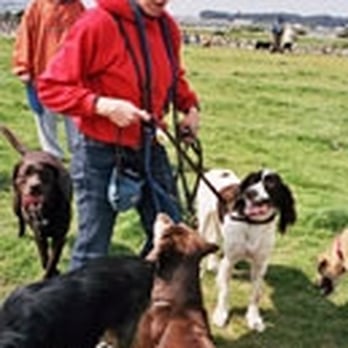 Dogtec - Students at the Dog Walking Academy - Dog Walkers Near Me Dogtec - Students at the Dog Walking Academy - Dog Walkers Near Me
