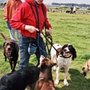 Photo of Dogtec