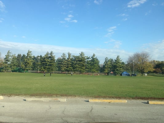 Maxwell Park by null