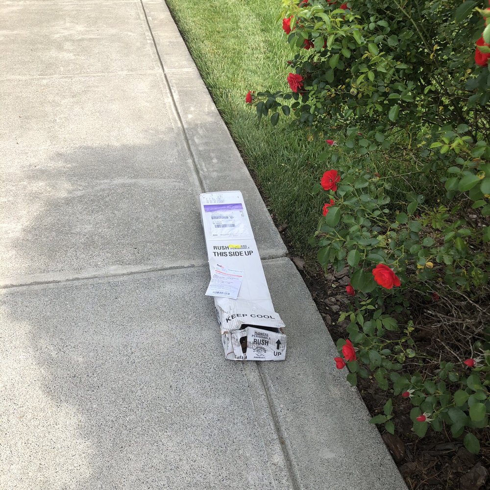 Fifty Flowers - One of the boxes left on the driveway. Broken and 85 degrees outside - Floral Designers Near Me Fifty Flowers - One of the boxes left on the driveway. Broken and 85 degrees outside - Floral Designers Near Me