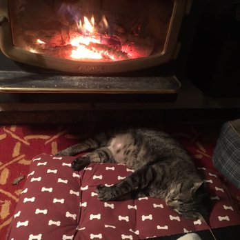 Boston Pet Sitters - Pet Sitting Near Me - Boston, Massachusetts