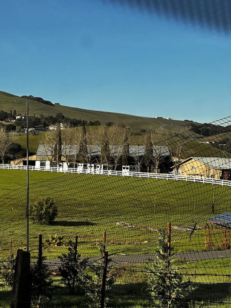 SHERIDAN EQUESTRIAN CENTER Updated April 2024 15 Photos 5358 Sheridan Rd, Sunol