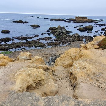 Glass Beach - Noyo Headlands Park - Beaches Near Me