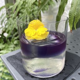 Crown Flower