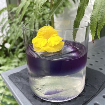 Pewa - Crown Flower $18 - Coffee & Tea Near Me - Honolulu, Hawaii