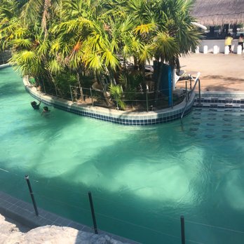 Dolphinaris - Lazy river...kids walking, no tubes provided (it costs extra to rent or purchase your own)... - Arts & Entertainment Near Me - Cancún, ROO