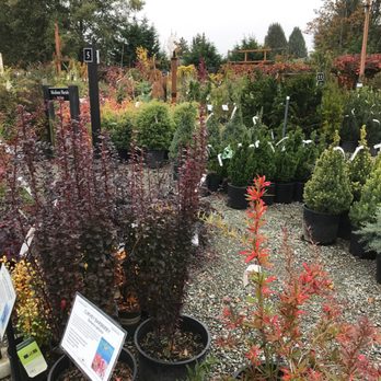 Swansons Nursery - Nurseries & Gardening Near Me - Seattle, Washington