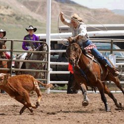 The Bar R Ranch - The Bar R Ranch LLC
