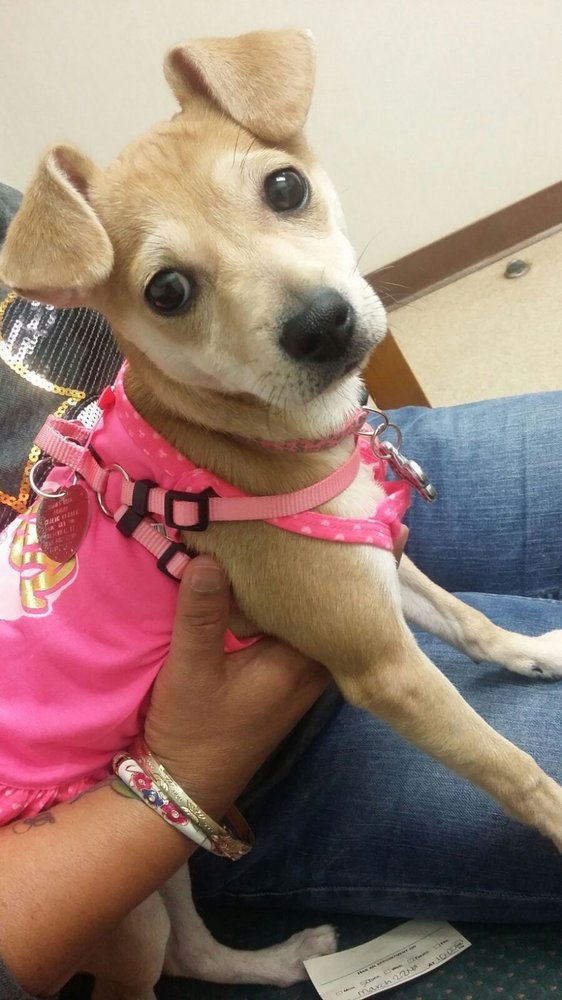 ANIMAL HEALTH CENTER Updated August 2024 12 Photos & 12 Reviews