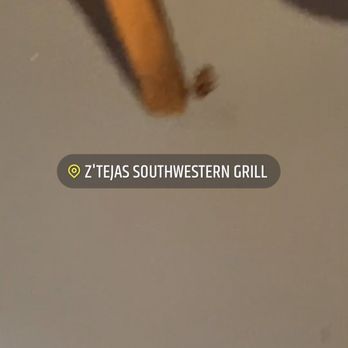 Z'Tejas - What you see there is a ROACH right next to are table. - Tex-Mex Near Me - Chandler, Arizona Z'Tejas - What you see there is a ROACH right next to are table. - Tex-Mex Near Me - Chandler, Arizona