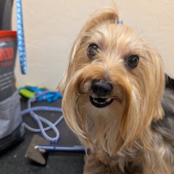 Lost Our Home Pet Rescue