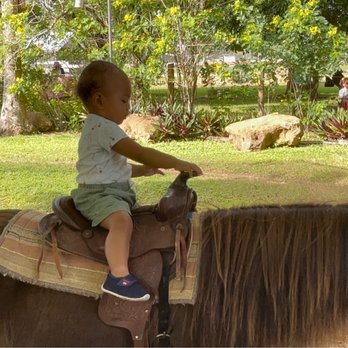 The Little Farm - Horse riding for kiddos - Pumpkin Patches Near Me - Miami, Florida The Little Farm - Horse riding for kiddos - Pumpkin Patches Near Me - Miami, Florida
