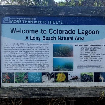 Colorado Lagoon - Swimming Pools Near Me - Long Beach, California Colorado Lagoon - Swimming Pools Near Me - Long Beach, California