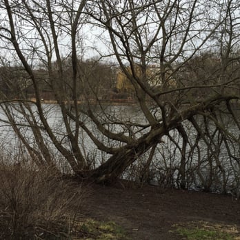 Lietzensee - See - Lakes Near Me - Berlin, BE