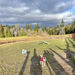 Issaquah Highland Bark Park