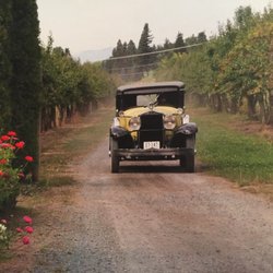 Orchard Home Bed and Breakfast - Vintage automobile used at wedding events.