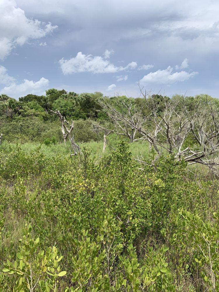 Betty Steflick Memorial Preserve Image