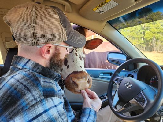 Aloha Safari Park by null