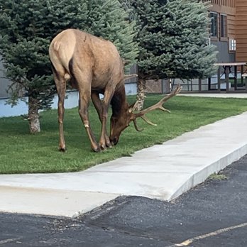 Yellowstone Village Inn and Suites - Hotels Near Me - Gardiner, Montana