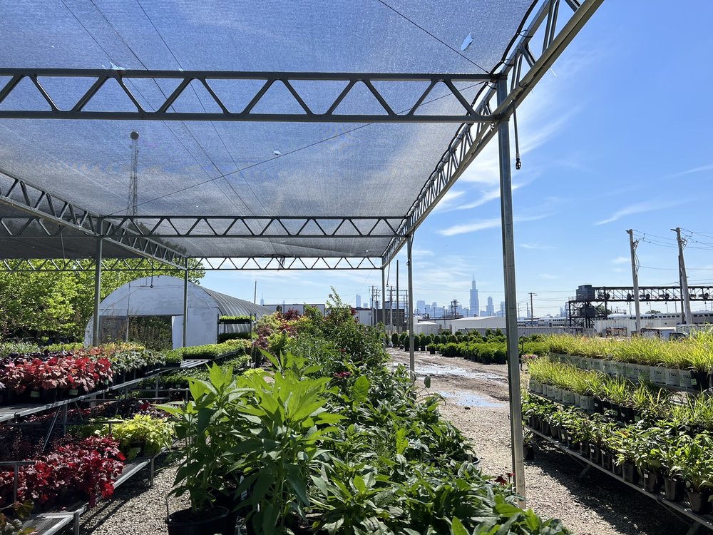FIORE NURSERY AND LANDSCAPE SUPPLY - 2901 W Ferdinand St, Chicago
